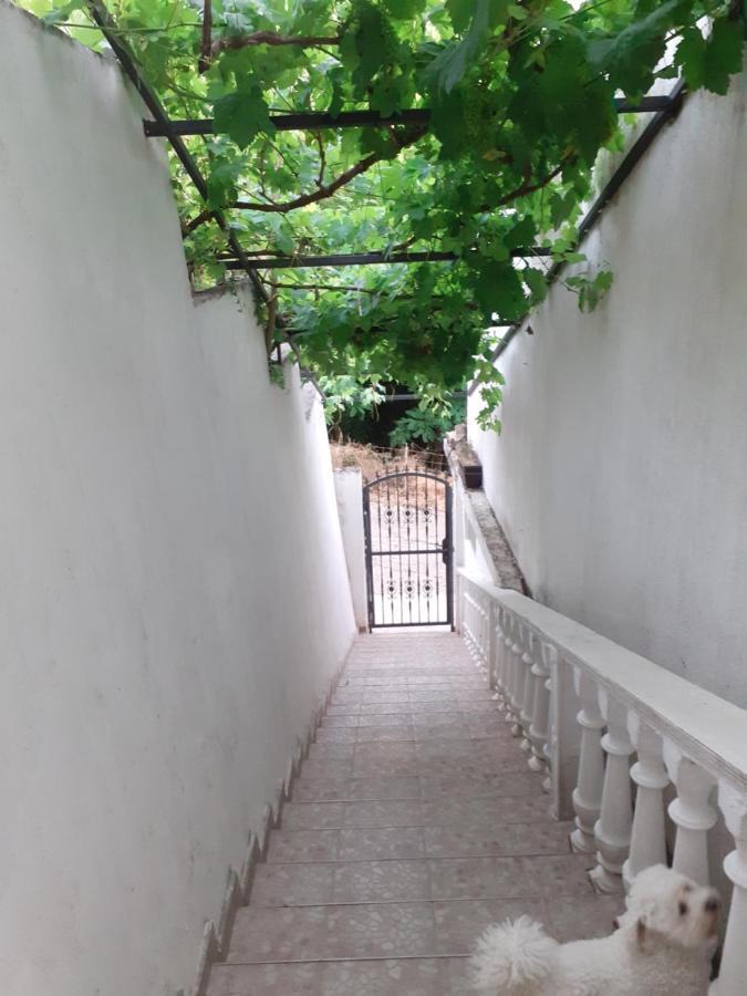 Guest House Cvoro تْشيرسيك نوفي الغرفة الصورة