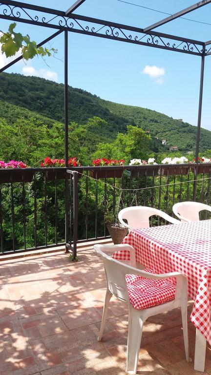Guest House Cvoro تْشيرسيك نوفي المظهر الخارجي الصورة
