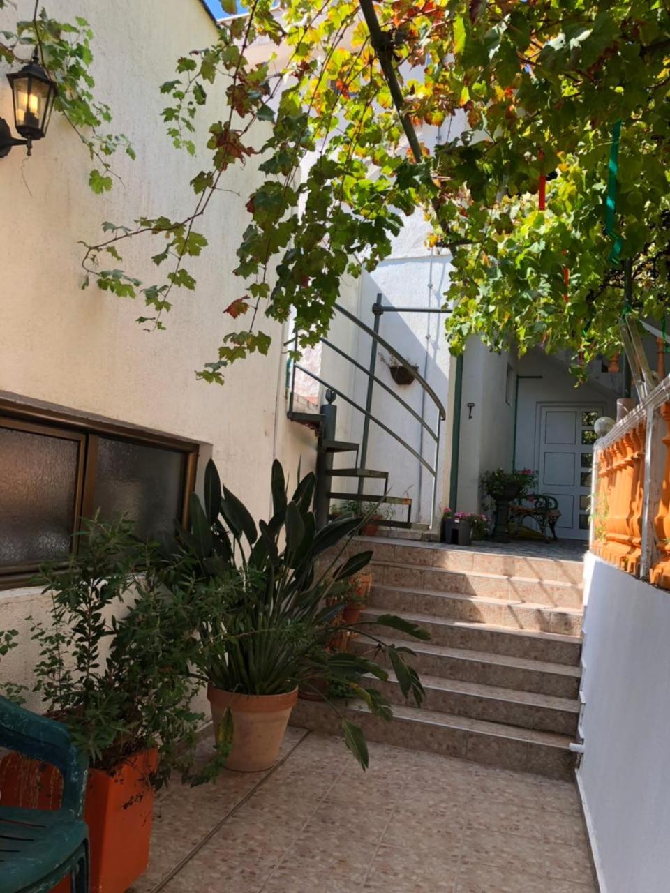 Guest House Cvoro تْشيرسيك نوفي المظهر الخارجي الصورة